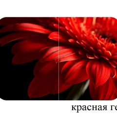 БОСТОН - 3 Стол раздвижной 1100/1420 опоры Триумф в Качканаре - kachkanar.mebel24.online | фото 18