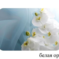 БОСТОН - 3 Стол раздвижной 1100/1420 опоры Триумф в Качканаре - kachkanar.mebel24.online | фото 8