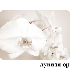 БОСТОН - 3 Стол раздвижной Лунная орхидея 1100/1420 опоры Триумф в Качканаре - kachkanar.mebel24.online | фото 2