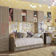 Детская Карина композиция 1 (Гикори Джексон светлый) в Качканаре - kachkanar.mebel24.online | фото