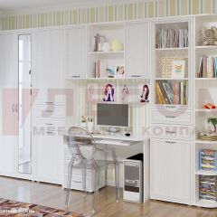 Детская Карина композиция 2 (Снежный ясень) в Качканаре - kachkanar.mebel24.online | фото