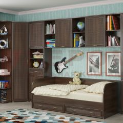 Детская Карина композиция 7 (Акация Молдау) в Качканаре - kachkanar.mebel24.online | фото