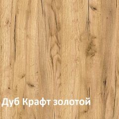 Крафт Полка для обуви 15.63 в Качканаре - kachkanar.mebel24.online | фото 3