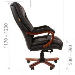 Кресло для руководителя CHAIRMAN  503 (Кожа) Черное в Качканаре - kachkanar.mebel24.online | фото 5