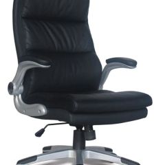 Кресло офисное BRABIX "Fregat EX-510" (рециклированная кожа, черное) 530863 в Качканаре - kachkanar.mebel24.online | фото