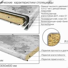 Кухонный фартук со столешницей (А-03) в едином стиле (3050 мм) в Качканаре - kachkanar.mebel24.online | фото 6