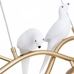 Подвесной светильник Arte Lamp Eltanin A3422SP-4GO в Качканаре - kachkanar.mebel24.online | фото 4