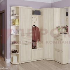 Прихожая Карина композиция 5 (Ясень Асахи) в Качканаре - kachkanar.mebel24.online | фото