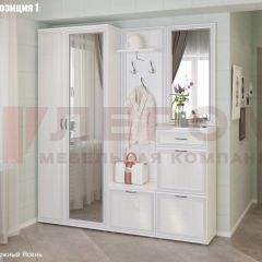 Прихожая Карина (модульная) в Качканаре - kachkanar.mebel24.online | фото 3