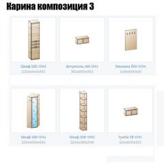 Прихожая Карина (модульная) в Качканаре - kachkanar.mebel24.online | фото 8