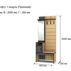 ОЛЬГА-ЛОФТ 1 Прихожая в Качканаре - kachkanar.mebel24.online | фото 4