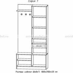 Прихожая София 1 в Качканаре - kachkanar.mebel24.online | фото 3