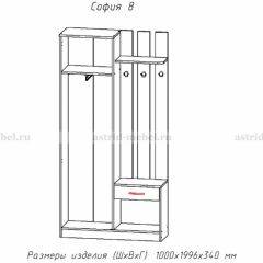 Прихожая София 8 в Качканаре - kachkanar.mebel24.online | фото 2