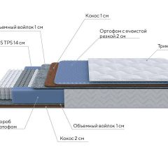 PROxSON Матрас Active Duo M/F (Ткань Трикотаж Эко) 90x190 в Качканаре - kachkanar.mebel24.online | фото 7