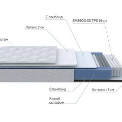 PROxSON Матрас Active Duo S/F (Ткань Трикотаж Эко) 180x195 в Качканаре - kachkanar.mebel24.online | фото 6