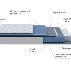 PROxSON Матрас Active M Roll (Ткань Трикотаж Эко) 120x190 в Качканаре - kachkanar.mebel24.online | фото 7