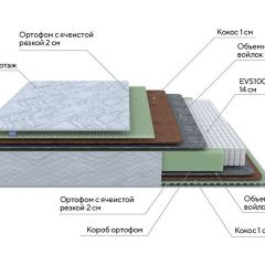 PROxSON Матрас Green M (Tricotage Dream) 120x190 в Качканаре - kachkanar.mebel24.online | фото 7