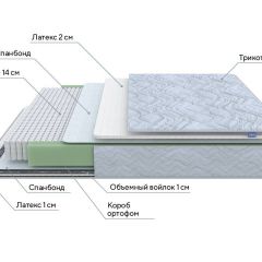 PROxSON Матрас Green S (Tricotage Dream) 160x190 в Качканаре - kachkanar.mebel24.online | фото 7