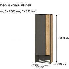 ОЛЬГА-ЛОФТ 3 Шкаф 2-х створчатый в Качканаре - kachkanar.mebel24.online | фото 4