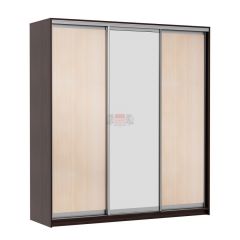 МИРАЖ 17.1 (620) 1 зеркало Шкаф для платья и белья в Качканаре - kachkanar.mebel24.online | фото