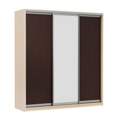 МИРАЖ 17.1 (620) 1 зеркало Шкаф для платья и белья в Качканаре - kachkanar.mebel24.online | фото 3
