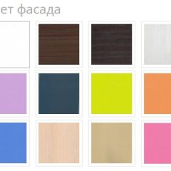 Шкаф двухдверный распашной в Качканаре - kachkanar.mebel24.online | фото 4