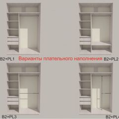 Шкаф-купе 1300 серии SILVER S3+S4+B2+PL4 (2 ящика+F обр.штанга) профиль «Серебро» в Качканаре - kachkanar.mebel24.online | фото 6