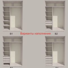 Шкаф-купе 1300 серии SILVER S3+S4+B2+PL4 (2 ящика+F обр.штанга) профиль «Серебро» в Качканаре - kachkanar.mebel24.online | фото 5