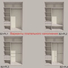 Шкаф-купе 1500 серии SILVER S1+S1+B2+PL2 (2 ящика+1 штанга+1 полка) профиль «Серебро» в Качканаре - kachkanar.mebel24.online | фото 6