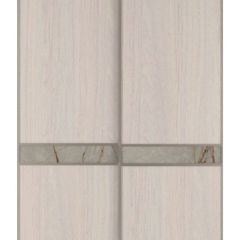 Шкаф-купе 1500 серии SILVER S1+S1+B2+PL2 (2 ящика+1 штанга+1 полка) профиль «Серебро» в Качканаре - kachkanar.mebel24.online | фото 10