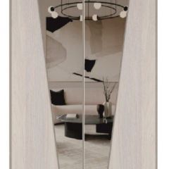 Шкаф-купе 1500 серии SILVER S1+S1+B2+PL2 (2 ящика+1 штанга+1 полка) профиль «Серебро» в Качканаре - kachkanar.mebel24.online | фото 12