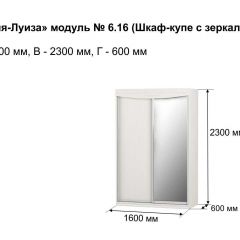 Шкаф-купе 1600 с зеркалом "Мария-Луиза 6.16" в Качканаре - kachkanar.mebel24.online | фото 4