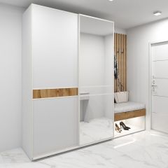 Шкаф-купе 1600 серии SOFT D6+D4+B2+PL2 (2 ящика+1штанга+1 полка) профиль «Капучино» в Качканаре - kachkanar.mebel24.online | фото 5