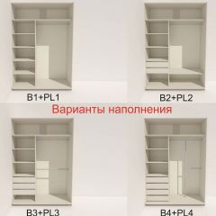 Шкаф-купе 1600 серии SOFT D6+D4+B2+PL2 (2 ящика+1штанга+1 полка) профиль «Капучино» в Качканаре - kachkanar.mebel24.online | фото 7