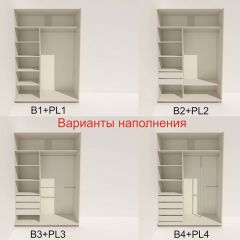 Шкаф-купе 1600 серии SOFT D6+D6+B2+PL3 (2 ящика+2штанги) профиль «Капучино» в Качканаре - kachkanar.mebel24.online | фото 6