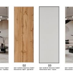 Шкаф-купе 1600 серии SOFT D6+D6+B2+PL3 (2 ящика+2штанги) профиль «Капучино» в Качканаре - kachkanar.mebel24.online | фото 9