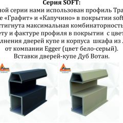 Шкаф-купе 1600 серии SOFT D6+D6+B2+PL3 (2 ящика+2штанги) профиль «Капучино» в Качканаре - kachkanar.mebel24.online | фото 12
