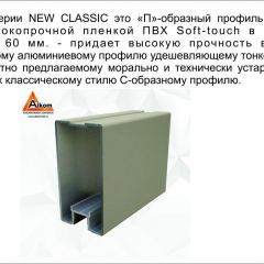 Шкаф-купе 1700 серии NEW CLASSIC K4+K4+B2+PL4 (2 ящика+F обр. штанга) профиль «Капучино» в Качканаре - kachkanar.mebel24.online | фото 18