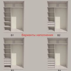 Шкаф-купе 1700 серии SILVER S1+S1+B2+PL2 (2 ящика+1 штанга+1 полка) профиль «Серебро» в Качканаре - kachkanar.mebel24.online | фото 5