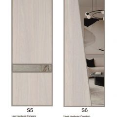 Шкаф-купе 1950 серии SILVER S5+S1+S5 B22+PL2 (по 2 ящика лев/прав+1 штанга+1 полка) профиль «Серебро» в Качканаре - kachkanar.mebel24.online | фото 13