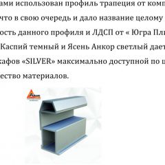 Шкаф-купе 1950 серии SILVER S5+S1+S5 B22+PL2 (по 2 ящика лев/прав+1 штанга+1 полка) профиль «Серебро» в Качканаре - kachkanar.mebel24.online | фото 16