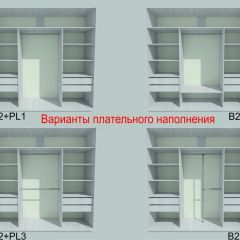 Шкаф-купе 1950 серии SILVER S5+S1+S5 B22+PL2 (по 2 ящика лев/прав+1 штанга+1 полка) профиль «Серебро» в Качканаре - kachkanar.mebel24.online | фото 5