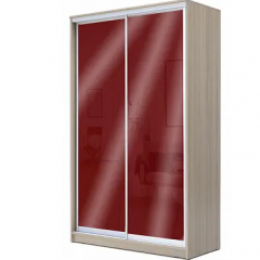 Шкаф-купе ХИТ 22-14-22 (620) в Качканаре - kachkanar.mebel24.online | фото 9