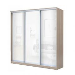 Шкаф-купе ХИТ 22-20/2-888 (620) в Качканаре - kachkanar.mebel24.online | фото 7