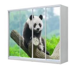 Шкаф-купе ХИТ 23-24/2-7777 (620) в Качканаре - kachkanar.mebel24.online | фото 1