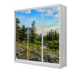 Шкаф-купе ХИТ 24-4-18-777 (420) в Качканаре - kachkanar.mebel24.online | фото