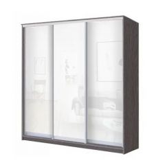 Шкаф-купе ХИТ 24-4-20-888 (420) в Качканаре - kachkanar.mebel24.online | фото 9