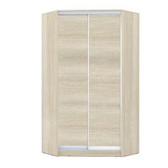 Шкаф-купе ХИТ-У-24-4-11 в Качканаре - kachkanar.mebel24.online | фото 8