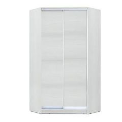 Шкаф-купе ХИТ-У-L-24-64-11 в Качканаре - kachkanar.mebel24.online | фото