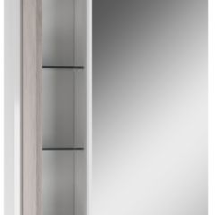Шкаф-зеркало Uno 60 Дуб серый левый/правый Домино (DU1503HZ) в Качканаре - kachkanar.mebel24.online | фото 3